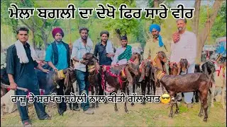 ਹਾਜੀ ਬਗਲੀ ਮੇਲੇ ਤੇ ਕੀਤੀ ਰਾਜੂ ਦੇ ਚੇਲੇ ਨੇ ਸਾਈਰੀ 🤫😎#tranding #punjabisong #trending #trending #trending
