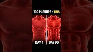 Your Body Changes FOREVER After 100 Pushups Daily