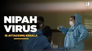 Indiatimes - Nipah Virus Is Attacking Kerala | Nipah Virus Causes Over 9 Deaths In Kerala