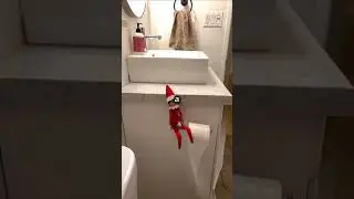 Star Trek The next generation: Elf on the shelf chaos