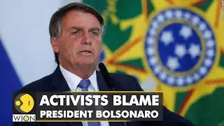 Brazil: Deforestation in the Amazon has reached a record high | International News | WION