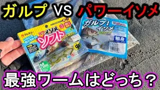 【ガルプVSパワーイソメ】の最強ワーム釣り対決がまさかの大激戦で楽しすぎる。