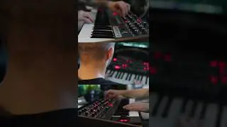 The beautiful Sequential Prophet 6🎹🥰