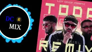 TODA FIESTERO REMIX ✘ ALEX ROSE ✘ ANUEL AA ✘ ZION - DC MIX