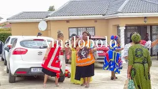 Ama Lobolo