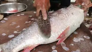 Amazing Big Rohu Fish Cutting skills Bengali style 8 KG Rohu Fish Market
