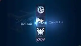 Dominus - Suji - Rare Decal
