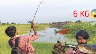 #मरल मछली ईतनी बड़ी की उठ नहीं रही😱#fishingvideos #मरल #fish #snakehead #fishing
