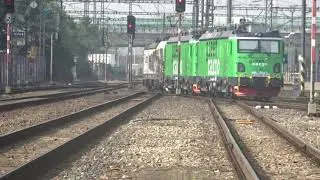 Lv Vectron s exportn&iacute;mi lokomotivami TRANSMONTANA do &Scaron;v&eacute;dska