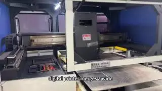Bihong all-in-one digital printer#automobile #printing #machine