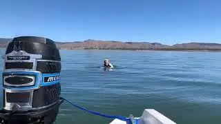 Meghan Jarvis - Wakeboarding Somerset Dam!