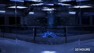 Cryo Chamber Sleep Ambience - 10 Hours Deep Brown Noise and Underwater Hum
