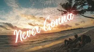 Sean Walsh / William Churchill / Dr. Steven Trip -  Never Gonna (Party Pop)