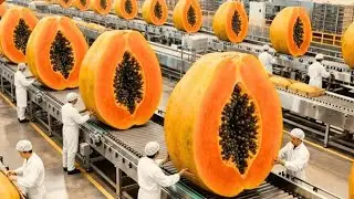 Inside a Modern Papaya Factory 😱 | From Fresh Farm Papayas to Delicious Desserts (Full Process)