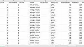 IBM HR Analytics Employee Attrition & Performance dataset