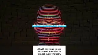 Insights on Digital Transformation