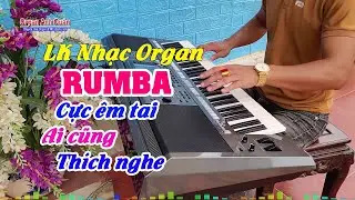 Liên Khúc Nhạc Organ Không Lời  - Nhạc Trữ Tình Rumba Nghe Cực Êm Tai - Organ Anh Quân