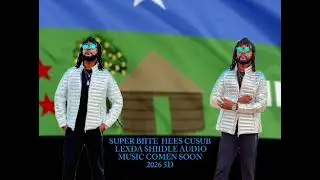 SUPER BIITE HEES CUSUB LEXDA SHIIDLE AUDIO MUSIC 2026 5D 
