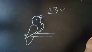 How to draw bird easy drawing step by step/Bird drawing@SimpleLineDrawing