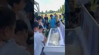 Paalam keka Ma!