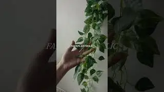 Me As A Girl Who Is Obsessed With Fake Plants #fakeplants #homedecor