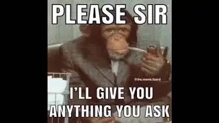 The Godmonkey