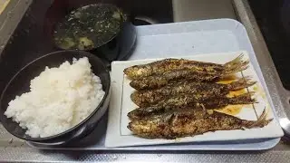 【自炊】いわしの塩焼き、わかめの味噌汁
