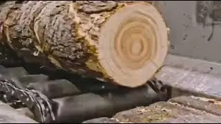 The wood processing factory is truly modern.#wood 