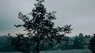 #laguviral #Indie #LaguSenja #Pop ThisStory - Waktu ( Lokasi: TNBTS - Jawa Timur)