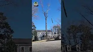 Tall tree removal isn&rsquo;t DIY.Skill, experience, and the right equipment matter