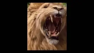 Every Aslan Roar in 12 Seconds #aslan #thechroniclesofnarnia #jesus #disney
