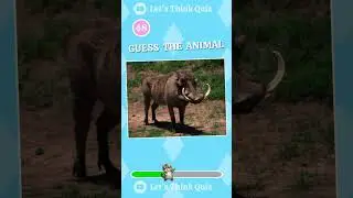 How Many Animals Do You Know?