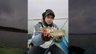 Работа спиннинга Hearty Rise Jig Force 762L