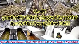 ਪੰਜਾਬੀਓ ਸ਼ੂਗਰ ਮਿਲ ਵਿੱਚ ਚੀਨੀ (ਖੰਡ) ਜਿਸਨੂੰ ਅਸੀ ਰੋਜ ਵਰਤਦੇ ਹਾਂ ਇਹ ਗੰਨੇ ਤੋਂ ਕਿਵੇਂ ਤਿਆਰ ਹੁੰਦੀ ਹੈ ਆਓ ਦੇਖੀਏ.