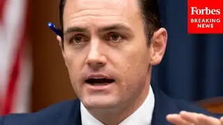 'Is It Willful Ignorance?': Mike Gallagher Asks Witnesses About US Financiers Trusting Chinese Data