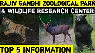 EPISODE NO:-26👉🏻 Rajiv Gandhi Zoological Park & Wildlife Research Center #zoo #wildlife #wildanimals