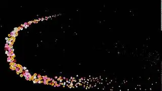 Flowery, colorful, flowers,wedding&video background