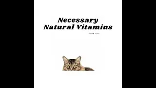 Supplements for Cats | Necessary Vitamins | Healthy Cats
