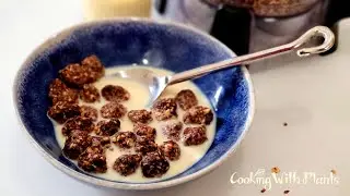 Chocolate Breakfast Cereal Bites - Raw Vegan Breakfast Bowl!