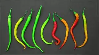 Land art - Video tutorial