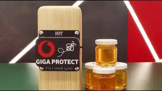 How our IoT Future Lab & Sustainability team in Germany are protecting bees with smart tech