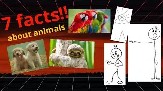 7 weird facts u didn't know about animals!!