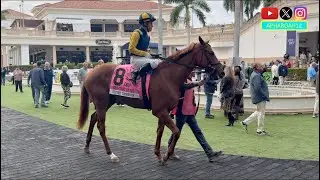 Rising Star Sister Troienne Seeks Fifth Straight Win 2026 Sweetest Chant Stakes