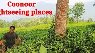 Coonoor trip one day Sightseeing places #coonoor #simspark summer festival  #coonoor tour package