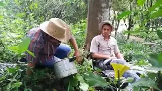 Semos malos/cuentos de barro/Salarru&eacute;/Narrado por Leo Arguello.