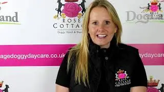 Rose cottage doggy day care no 2