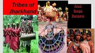 Part 2 Tribes Of Jharkhand#tribes #jharkhand #india #pvtg #odisha #jaljunglejameen #yt #ytshorts 