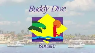 Buddy Dive Resort Bonaire
