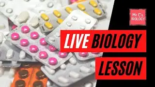 Live Lesson: Fighting off disease!