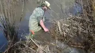 What not to do while setting a Bridger #5